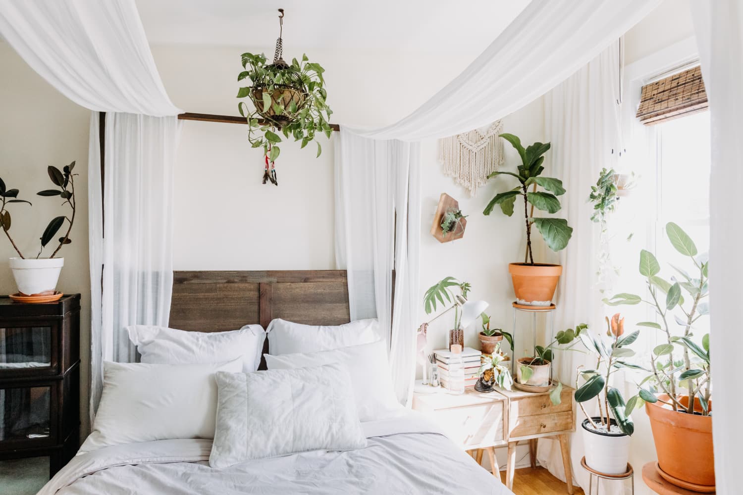 These Are the Most Popular Houseplants on Instagram Apartment Therapy